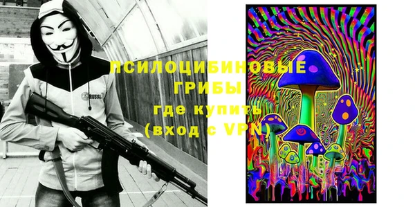 соль ск Остров
