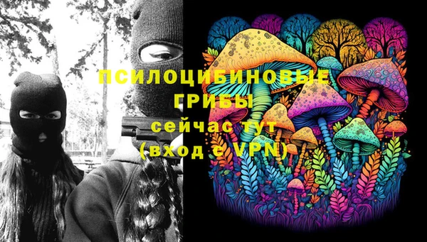 прущие крисы Осинники
