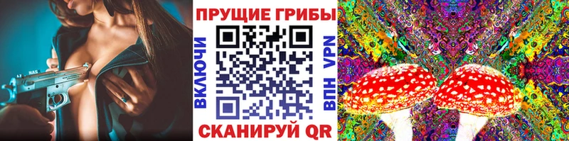 где купить наркотик Шелехов Псилоцибиновые грибы мицелий